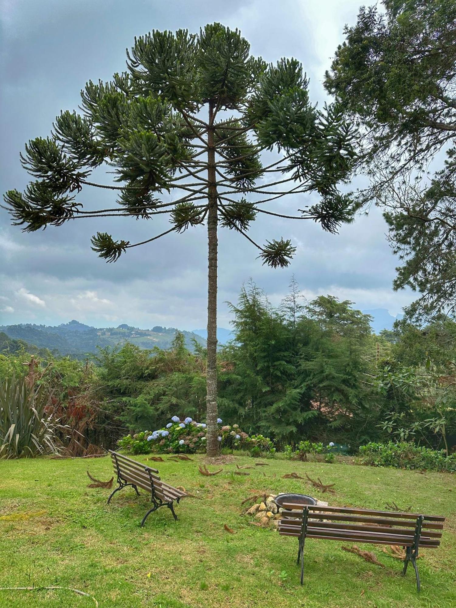 Chalé dos pássaros Apartamento Campos do Jordão Exterior foto